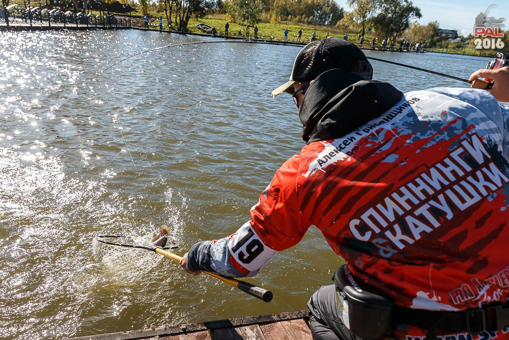 Дневник осеннего турнира Pro Anglers League Trout 2016. Галерея фото 29