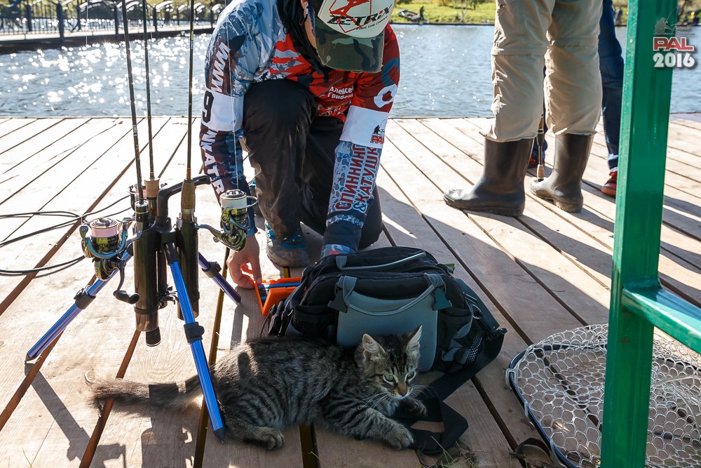 Дневник осеннего турнира Pro Anglers League Trout 2016. Галерея фото 30
