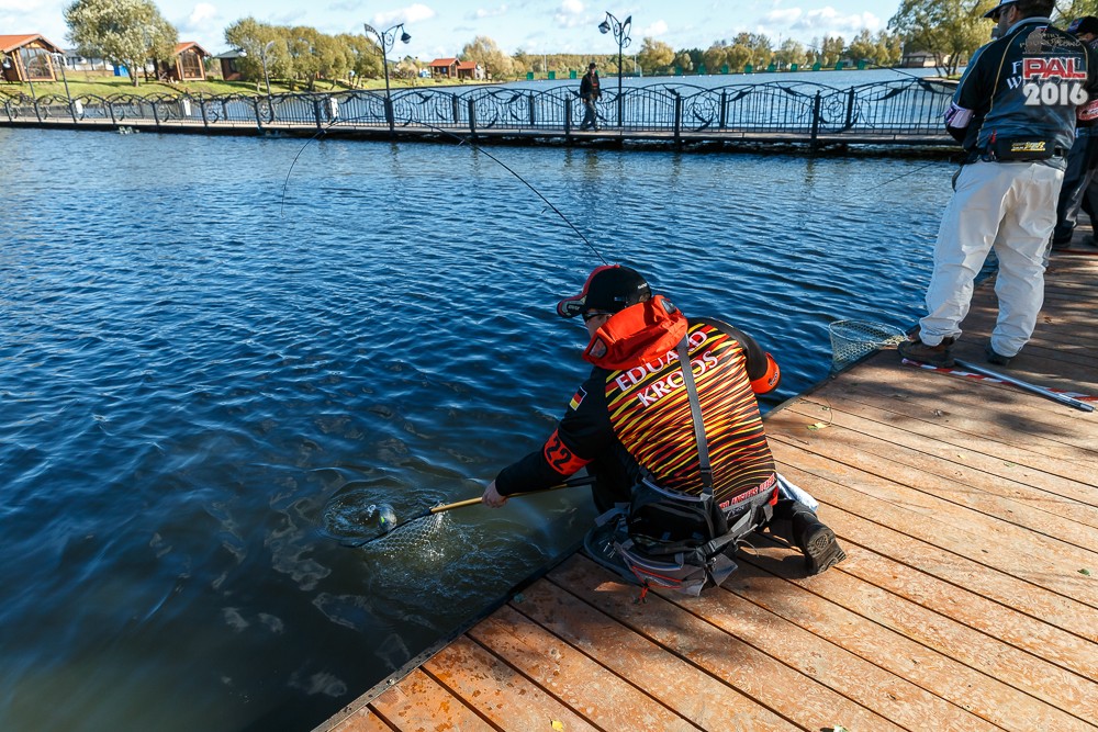 Дневник осеннего турнира Pro Anglers League Trout 2016. Галерея фото 39