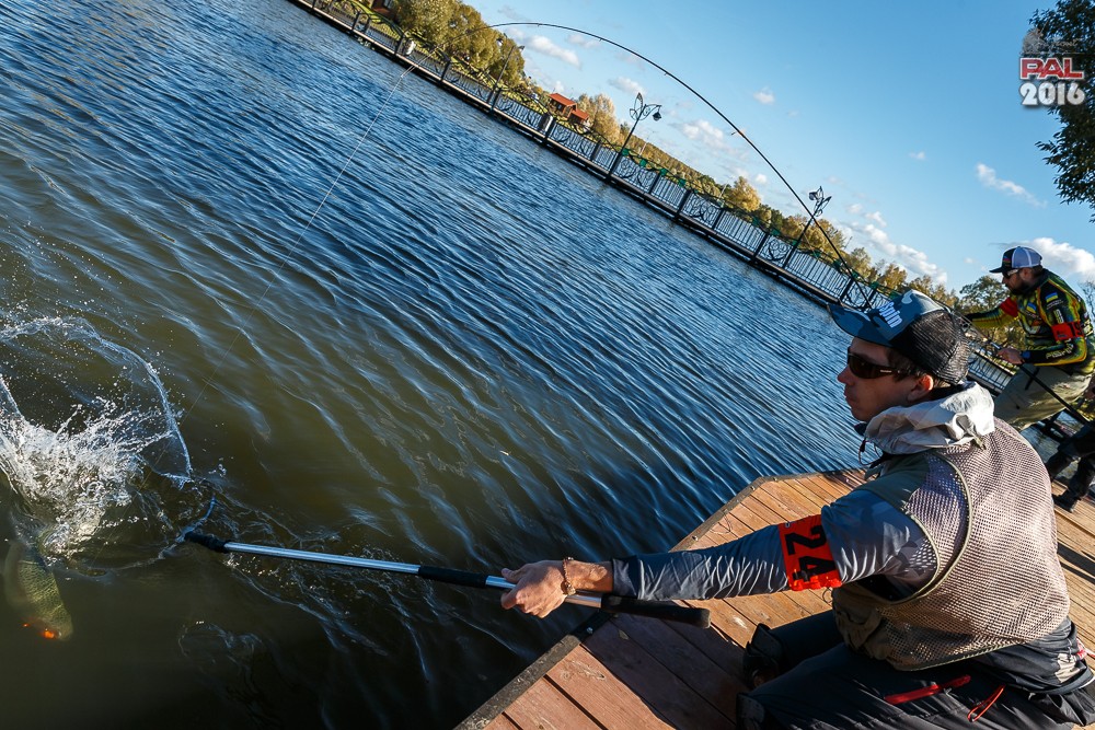 Дневник осеннего турнира Pro Anglers League Trout 2016. Галерея фото 40