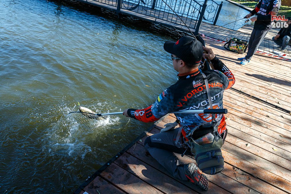 Дневник осеннего турнира Pro Anglers League Trout 2016. Галерея фото 41
