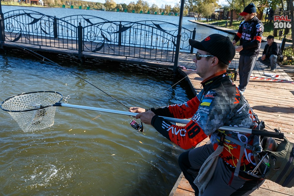 Дневник осеннего турнира Pro Anglers League Trout 2016. Галерея фото 42
