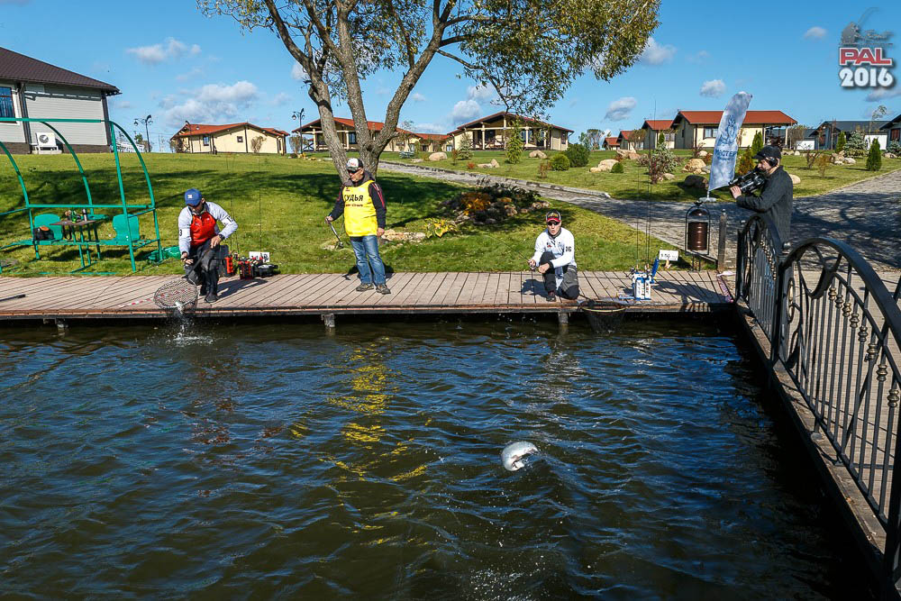 Дневник осеннего турнира Pro Anglers League Trout 2016. Галерея фото 43