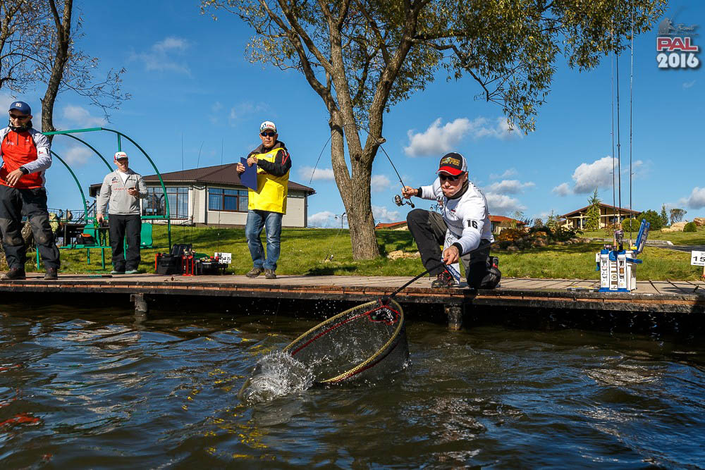 Дневник осеннего турнира Pro Anglers League Trout 2016. Галерея фото 44