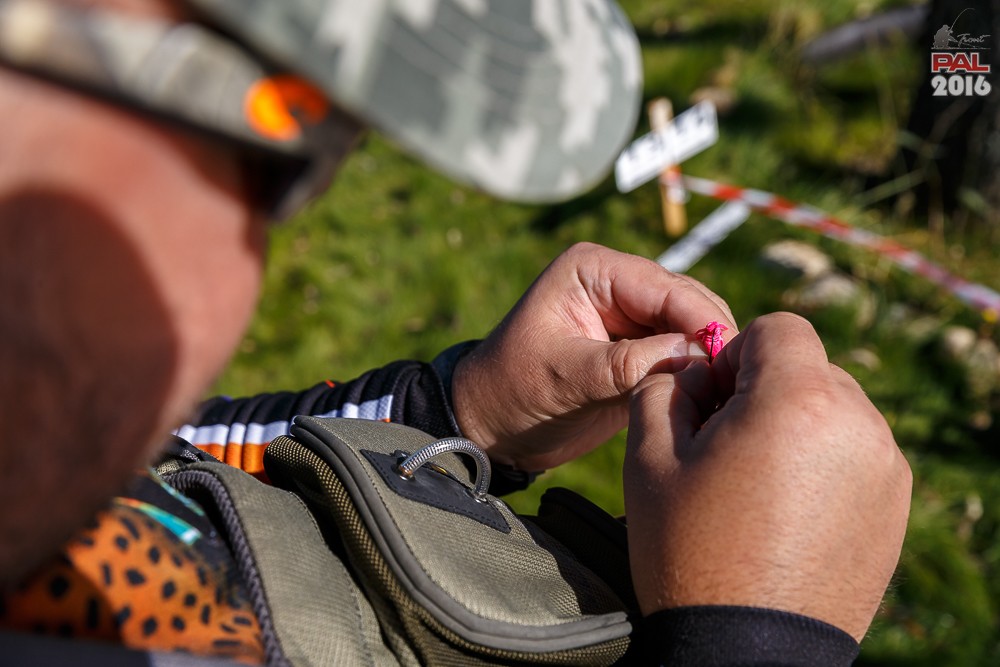 Дневник осеннего турнира Pro Anglers League Trout 2016. Галерея фото 46