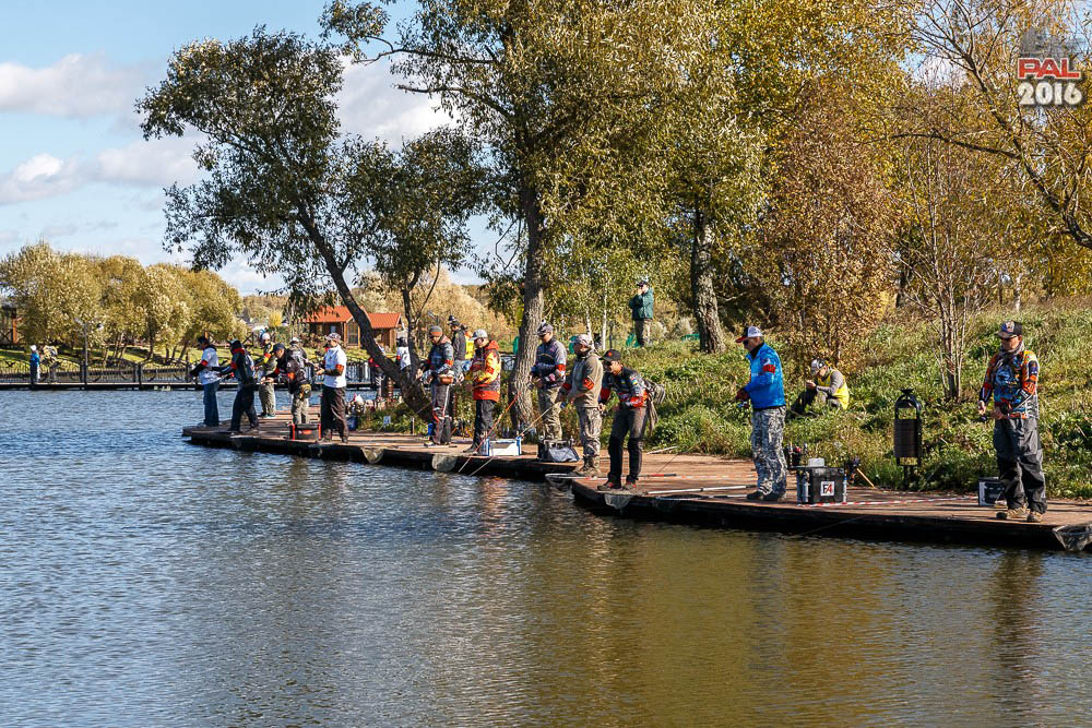 Дневник осеннего турнира Pro Anglers League Trout 2016. Галерея фото 53