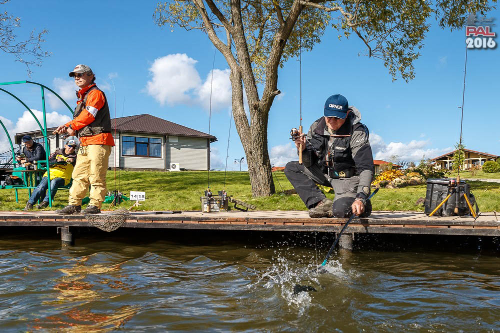 Дневник осеннего турнира Pro Anglers League Trout 2016. Галерея фото 56