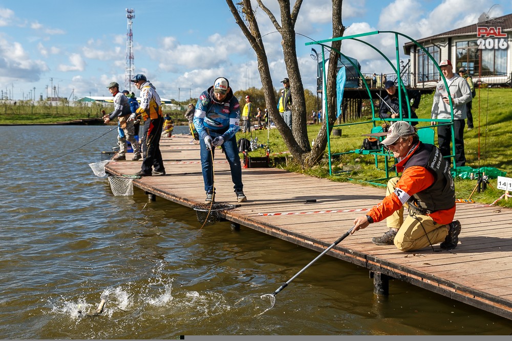 Дневник осеннего турнира Pro Anglers League Trout 2016. Галерея фото 57