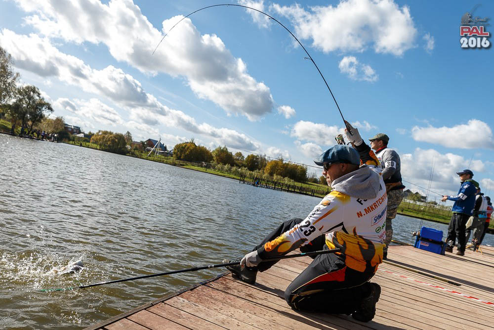 Дневник осеннего турнира Pro Anglers League Trout 2016. Галерея фото 60