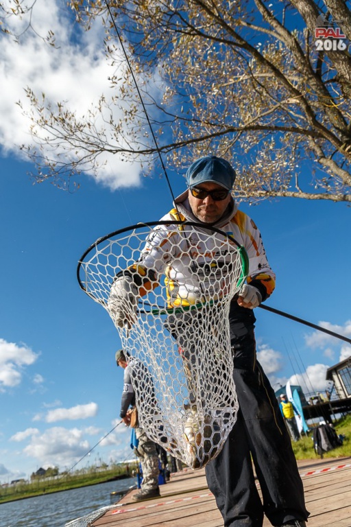 Дневник осеннего турнира Pro Anglers League Trout 2016. Галерея фото 59