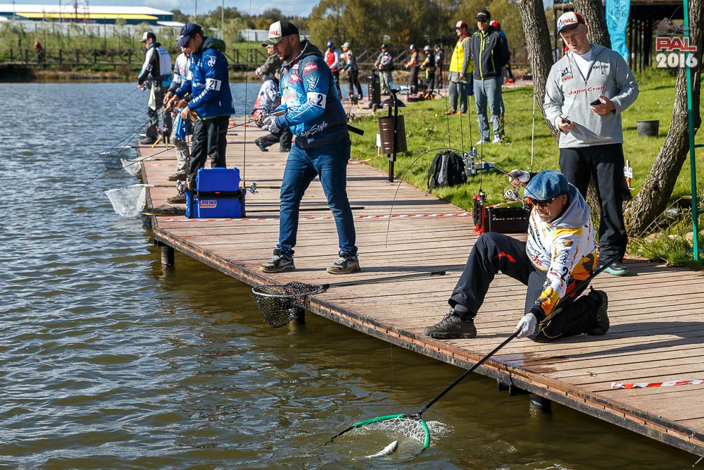 Дневник осеннего турнира Pro Anglers League Trout 2016. Галерея фото 65