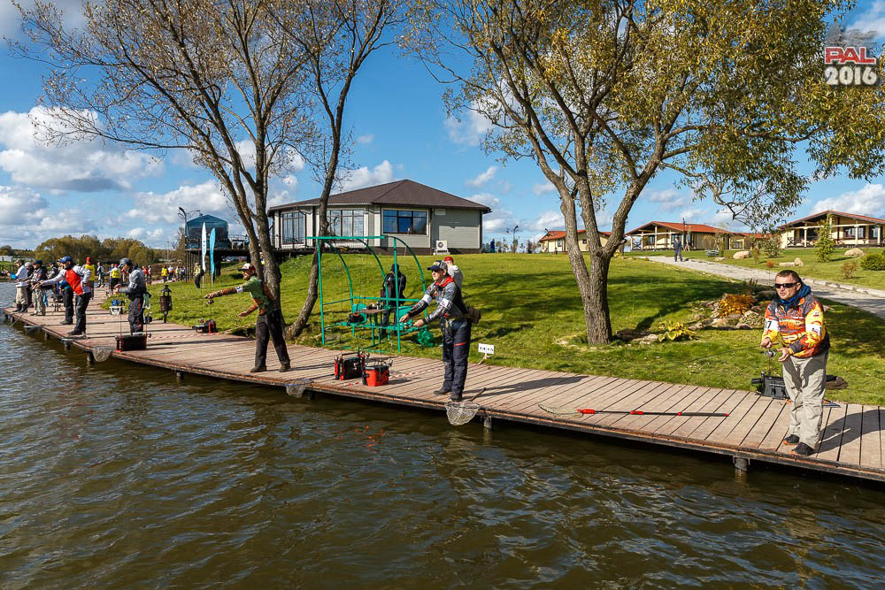 Дневник осеннего турнира Pro Anglers League Trout 2016. Галерея фото 71