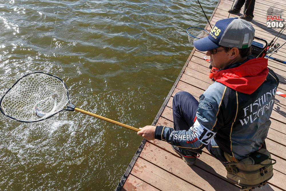 Дневник осеннего турнира Pro Anglers League Trout 2016. Галерея фото 73