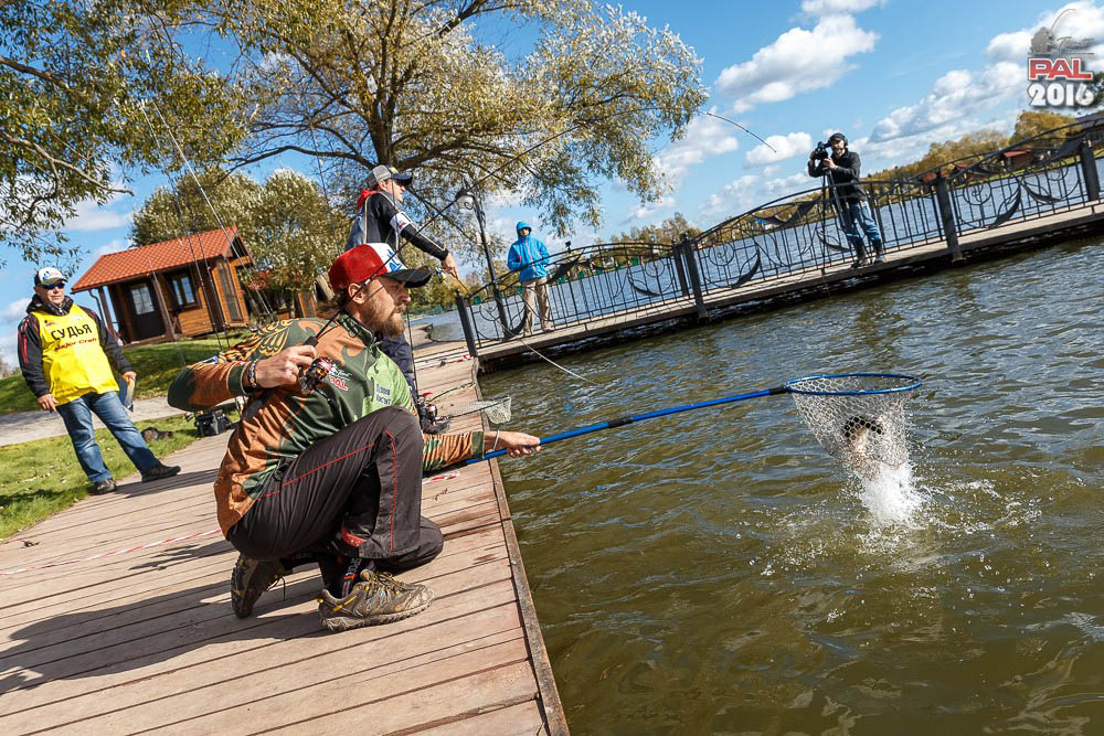 Дневник осеннего турнира Pro Anglers League Trout 2016. Галерея фото 74