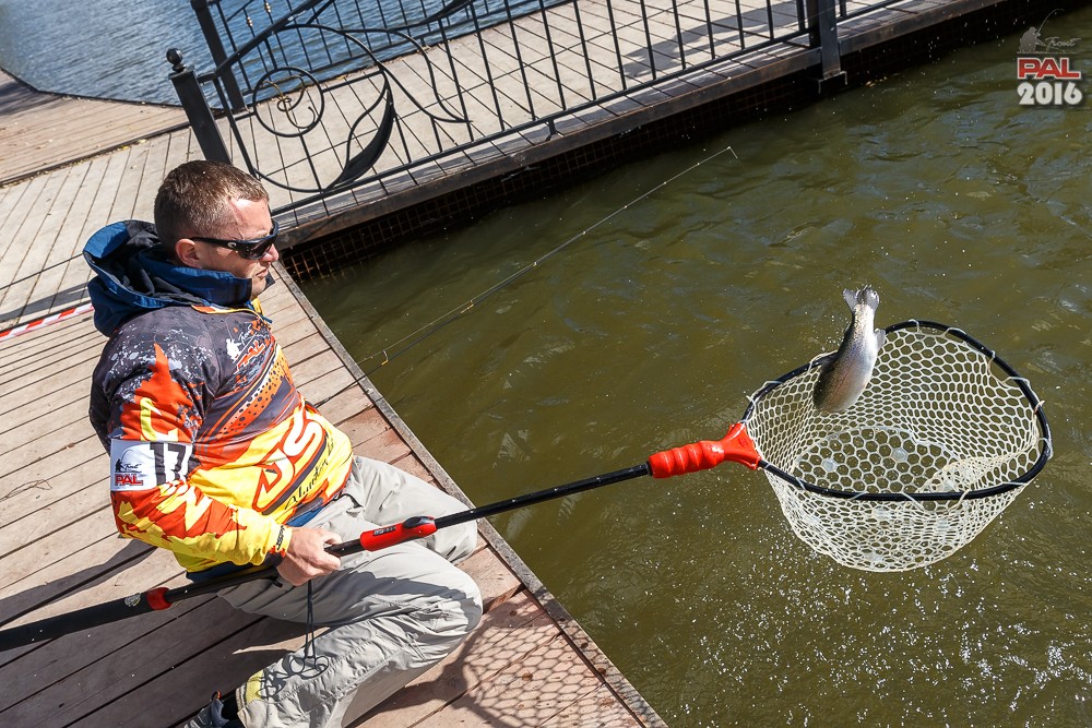 Дневник осеннего турнира Pro Anglers League Trout 2016. Галерея фото 75