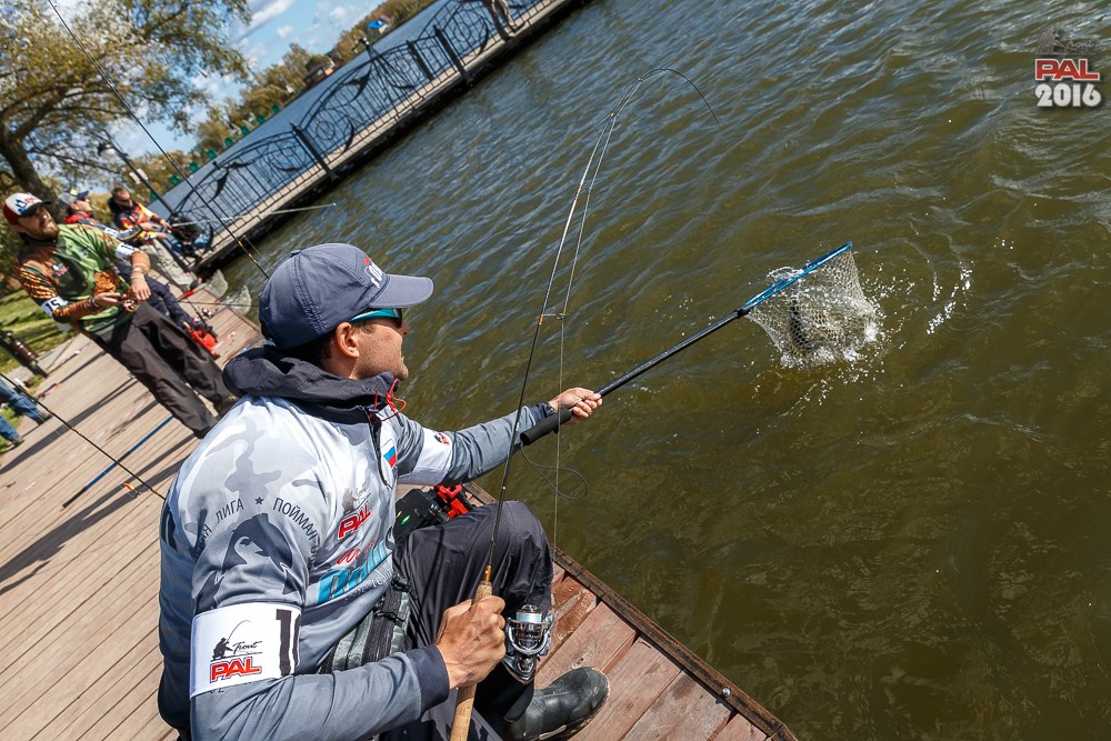 Дневник осеннего турнира Pro Anglers League Trout 2016. Галерея фото 76