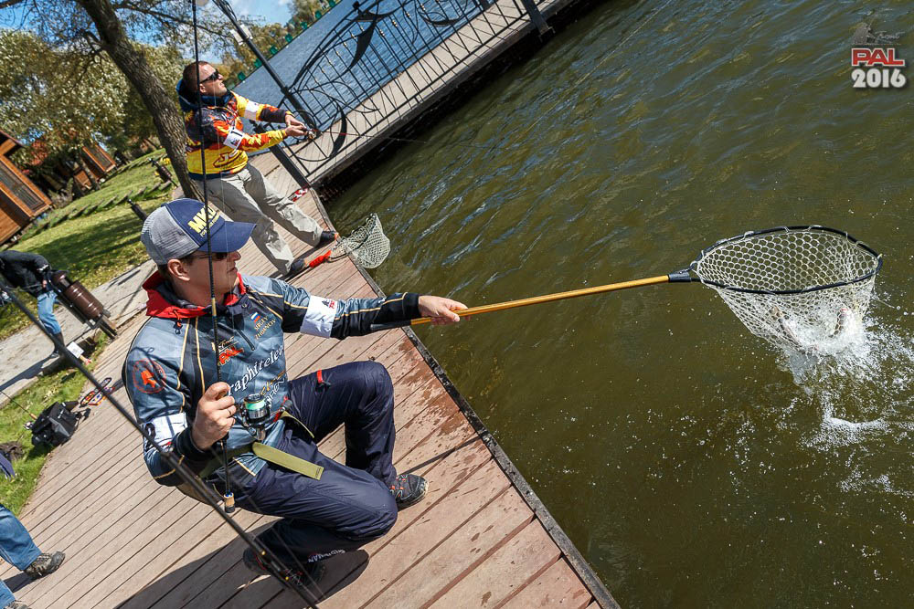 Дневник осеннего турнира Pro Anglers League Trout 2016. Галерея фото 77