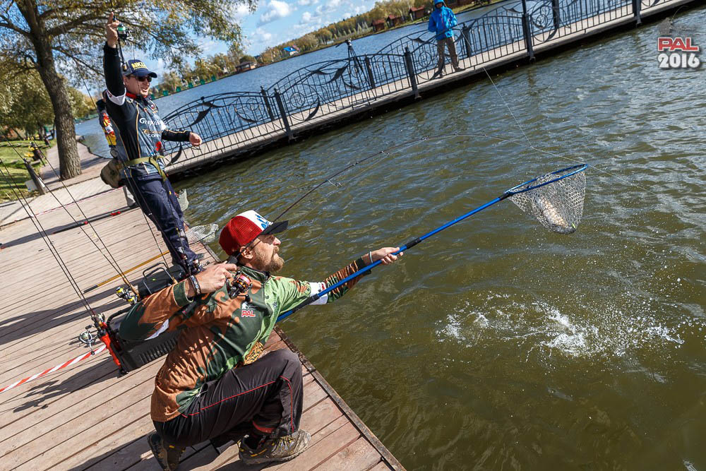Дневник осеннего турнира Pro Anglers League Trout 2016. Галерея фото 78