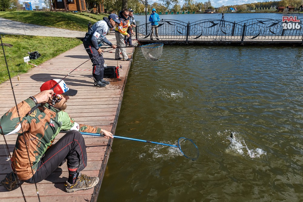 Дневник осеннего турнира Pro Anglers League Trout 2016. Галерея фото 79