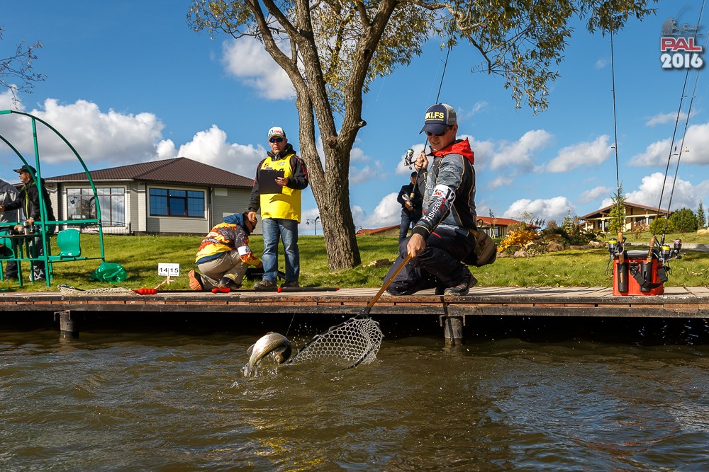 Дневник осеннего турнира Pro Anglers League Trout 2016. Галерея фото 80