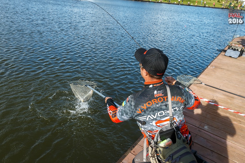Дневник осеннего турнира Pro Anglers League Trout 2016. Галерея фото 91
