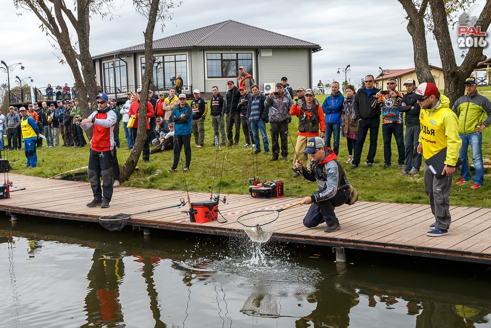 Дневник осеннего турнира Pro Anglers League Trout 2016. Галерея фото 9