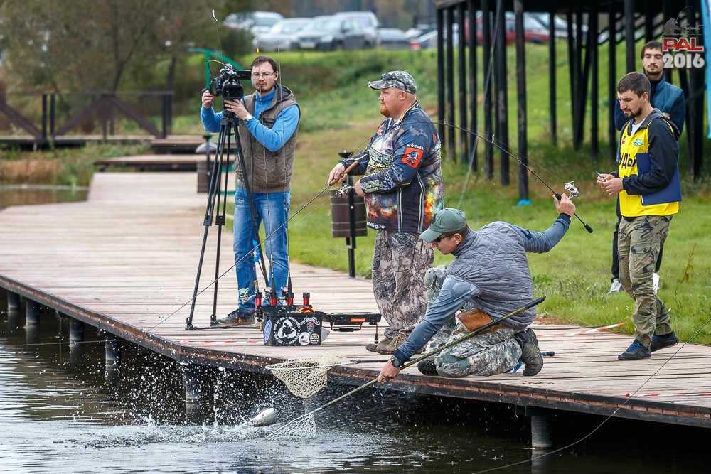 Дневник осеннего турнира Pro Anglers League Trout 2016. Галерея фото 17