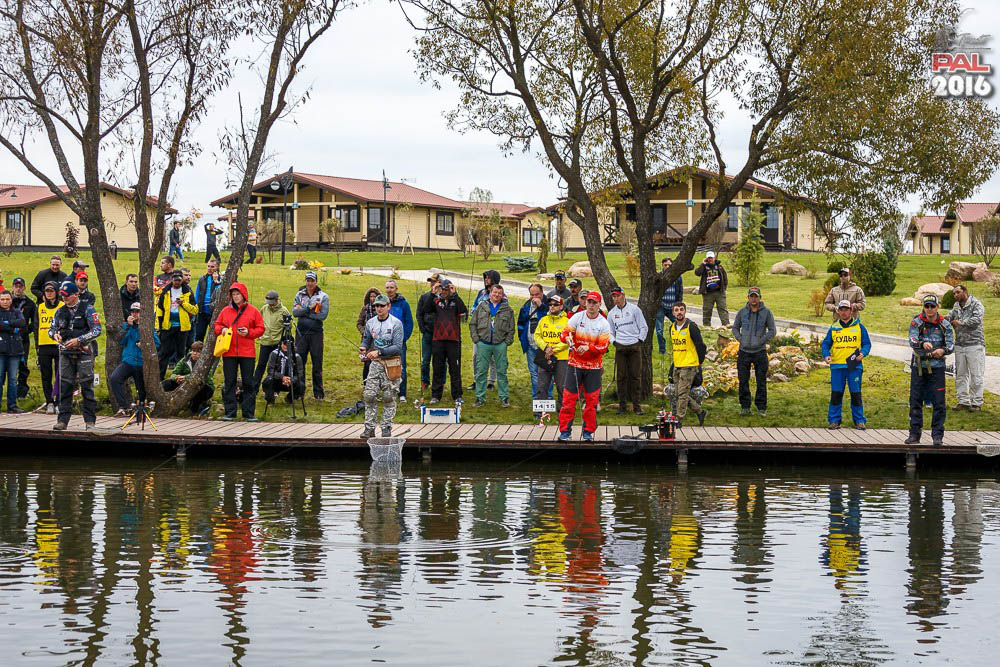 Дневник осеннего турнира Pro Anglers League Trout 2016. Галерея фото 31