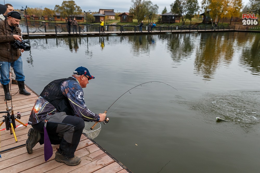 Дневник осеннего турнира Pro Anglers League Trout 2016. Галерея фото 39