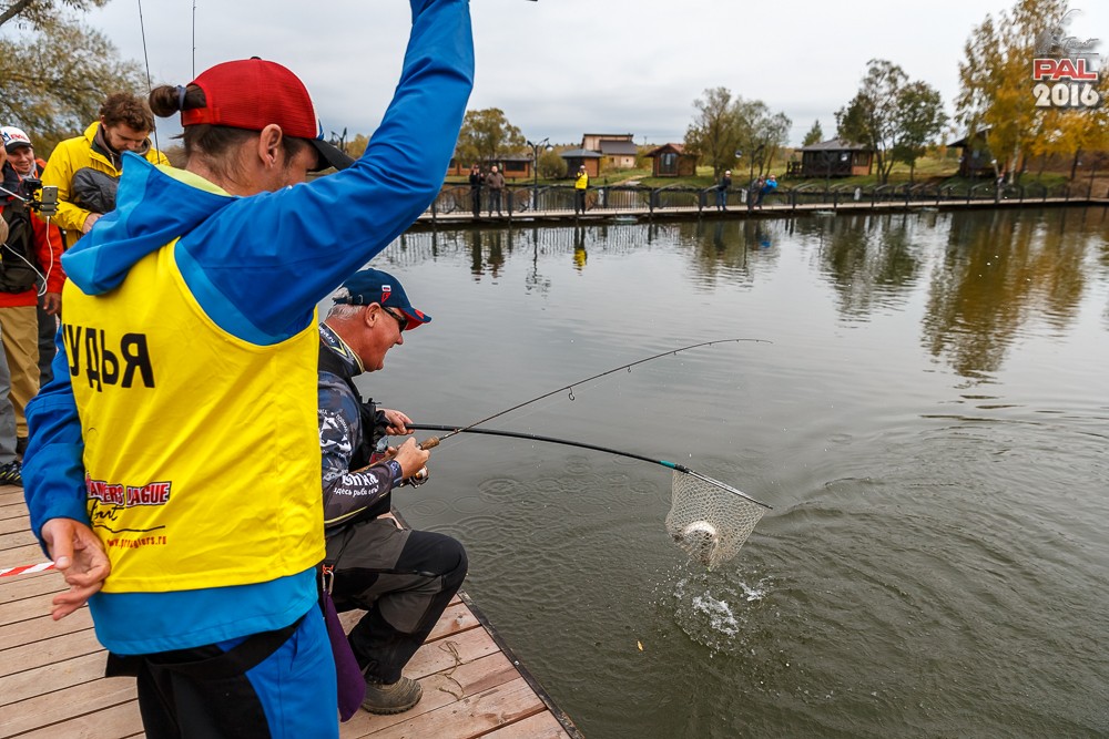 Дневник осеннего турнира Pro Anglers League Trout 2016. Галерея фото 41