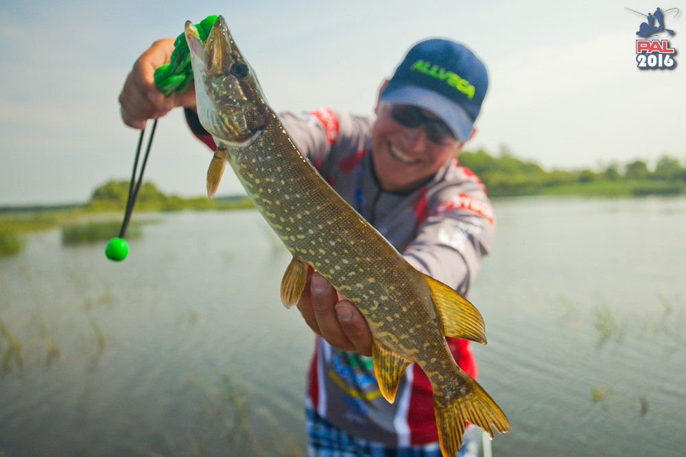 Дневник второго этапа турнира Pro Anglers League 2016. Галерея фото 7