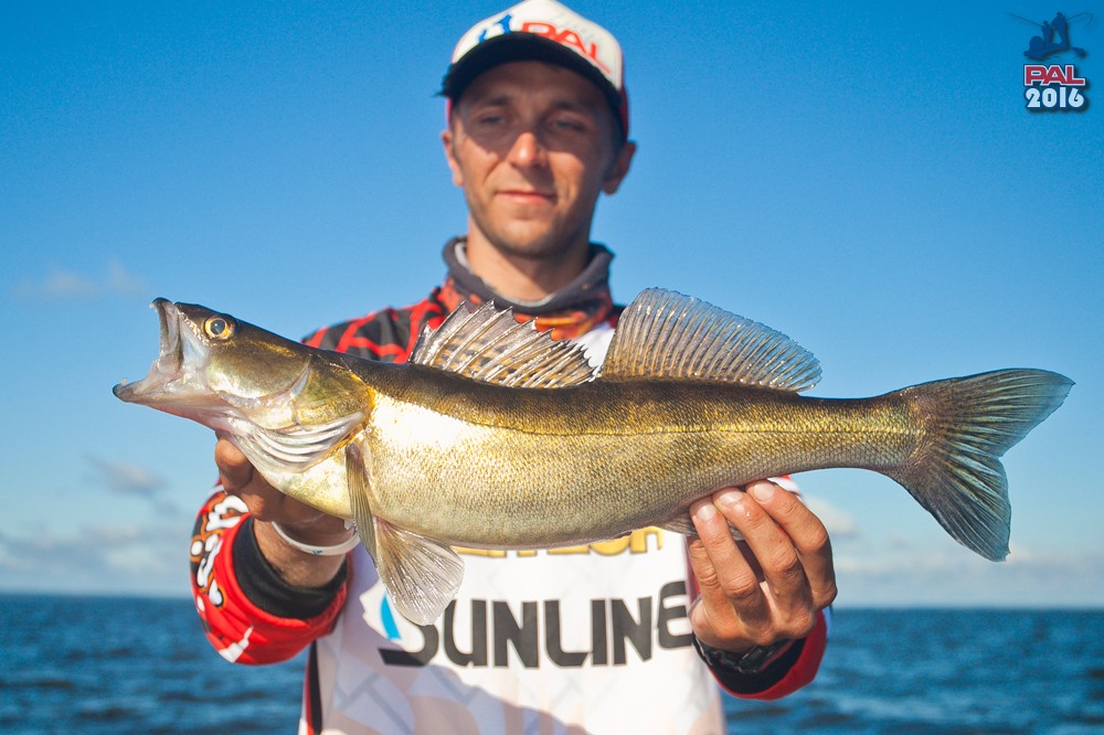 Дневник второго этапа турнира Pro Anglers League 2016. Галерея фото 25