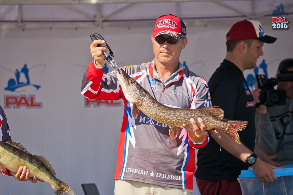 Дневник первого этапа турнира Pro Anglers League 2016. Галерея фото 143