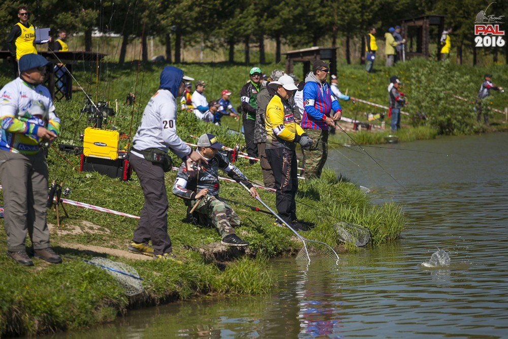 Дневник весеннего турнира Pro Anglers League Trout 2016. Галерея фото 9