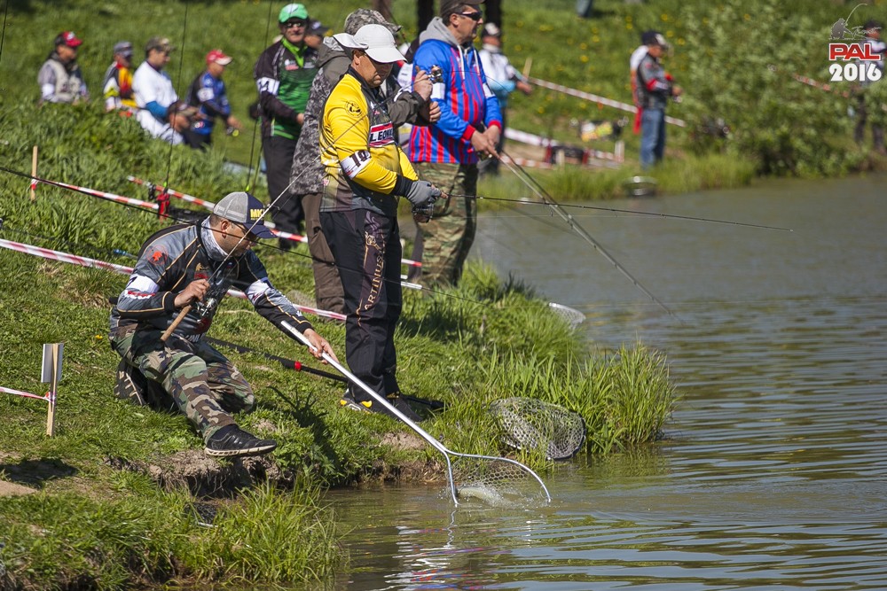 Дневник весеннего турнира Pro Anglers League Trout 2016. Галерея фото 10
