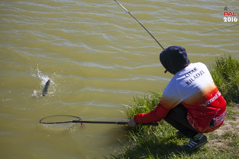 Дневник весеннего турнира Pro Anglers League Trout 2016. Галерея фото 30