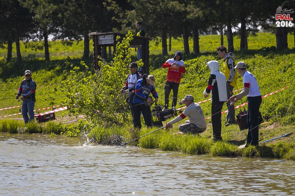 Дневник весеннего турнира Pro Anglers League Trout 2016. Галерея фото 38