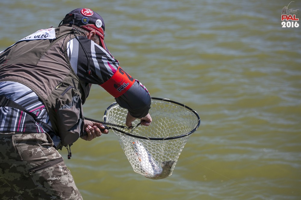 Дневник весеннего турнира Pro Anglers League Trout 2016. Галерея фото 50
