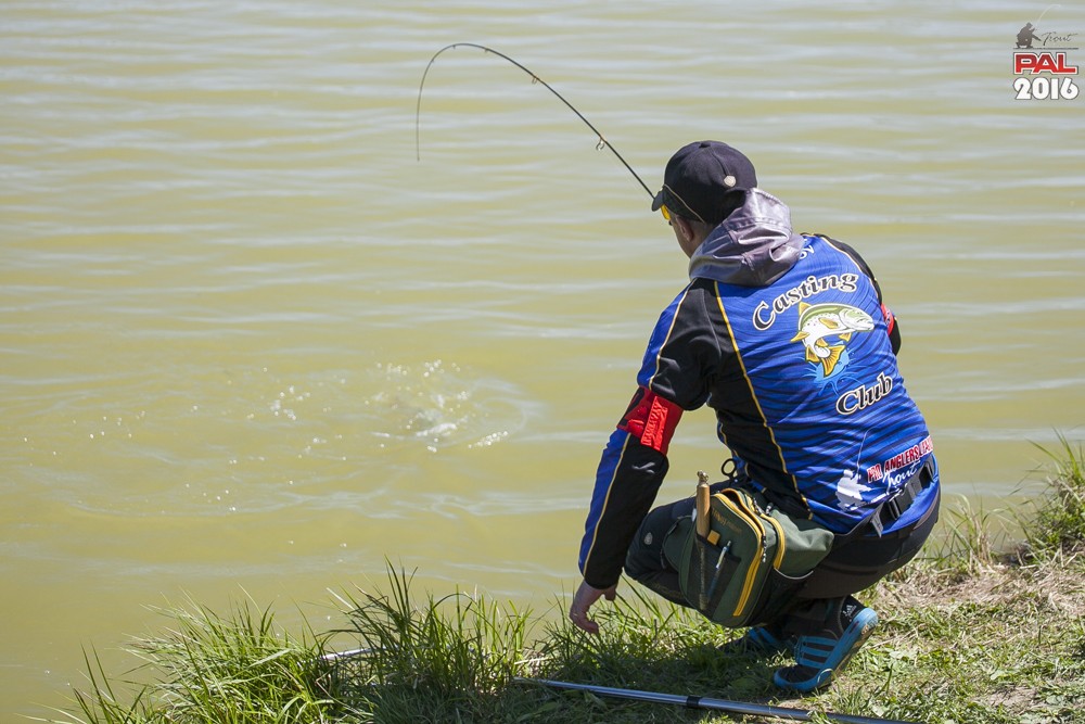 Дневник весеннего турнира Pro Anglers League Trout 2016. Галерея фото 58