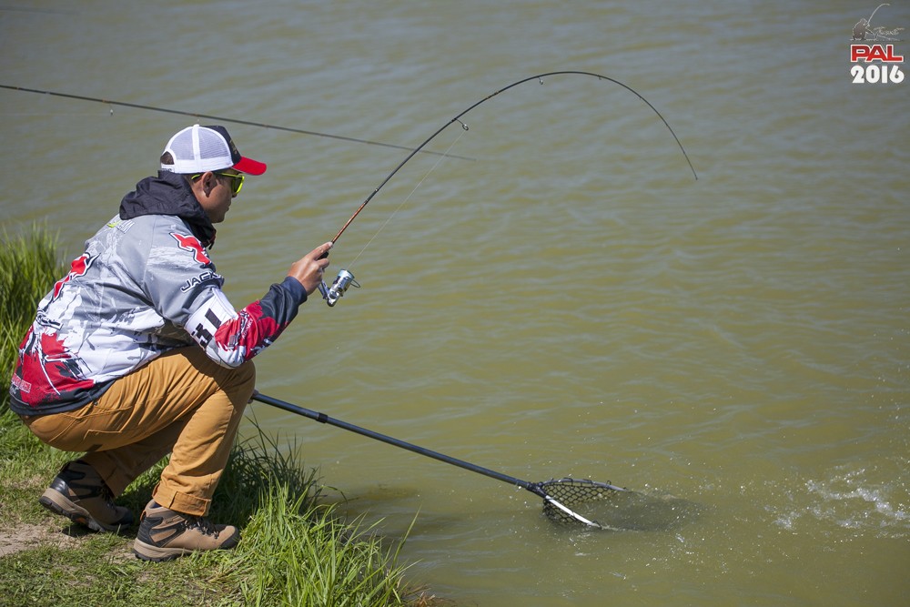 Дневник весеннего турнира Pro Anglers League Trout 2016. Галерея фото 62