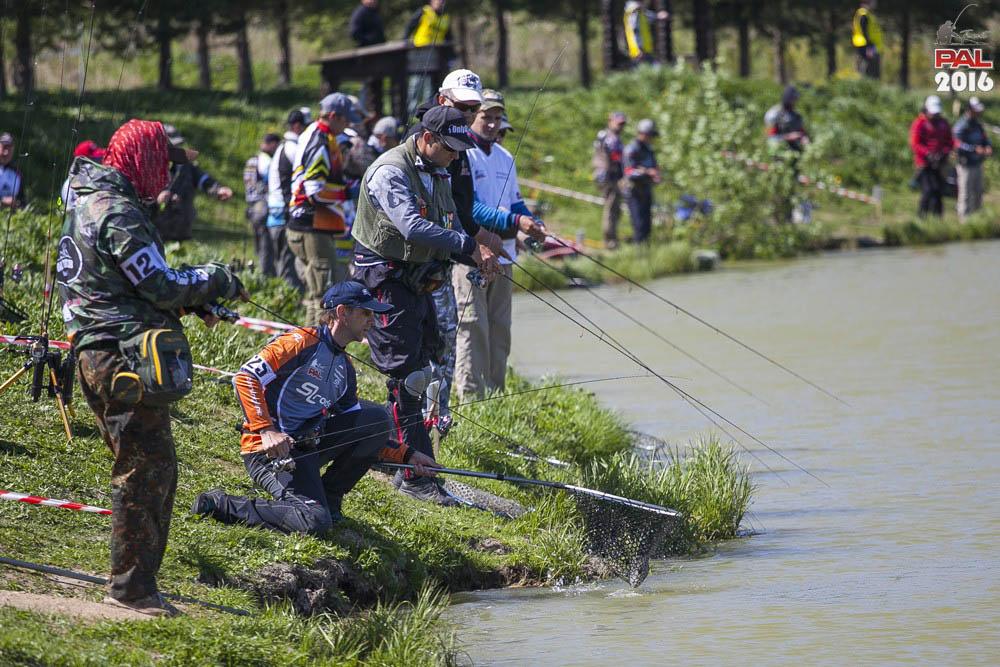 Дневник весеннего турнира Pro Anglers League Trout 2016. Галерея фото 65