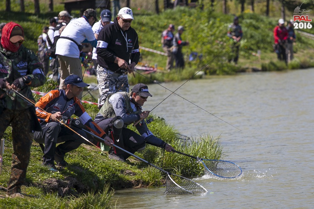 Дневник весеннего турнира Pro Anglers League Trout 2016. Галерея фото 66