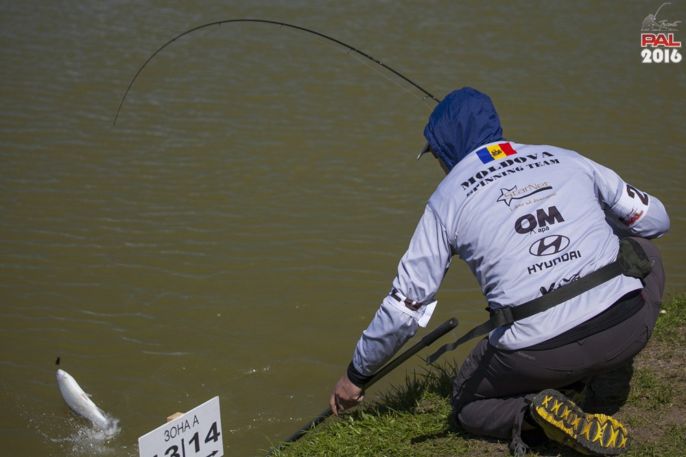 Дневник весеннего турнира Pro Anglers League Trout 2016. Галерея фото 67