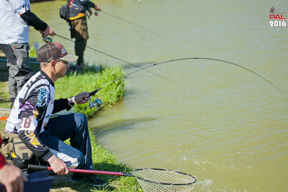 Дневник весеннего турнира Pro Anglers League Trout 2016. Галерея фото 11