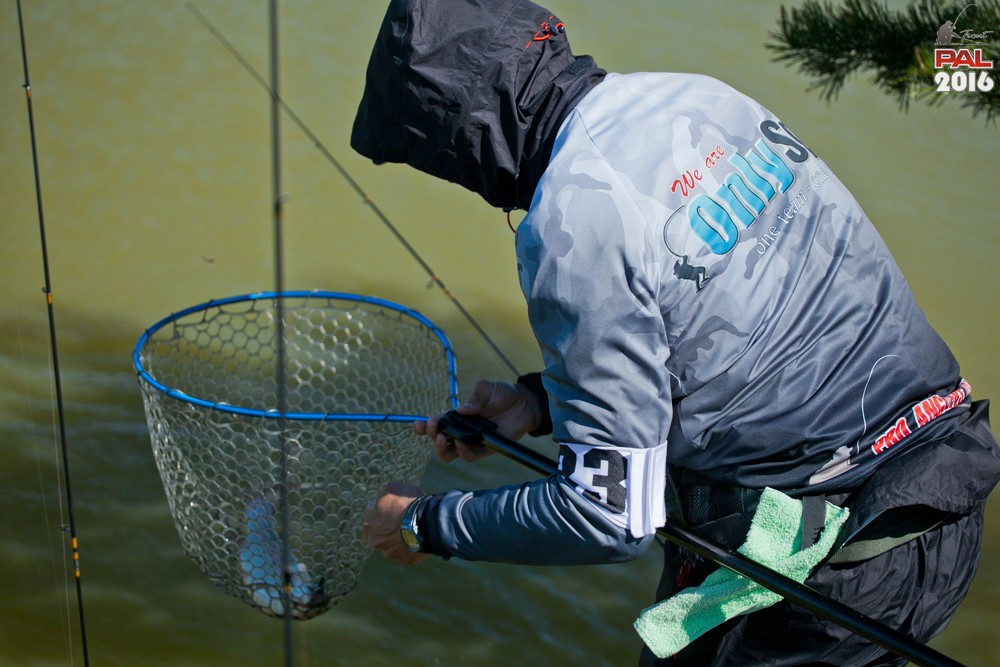 Дневник весеннего турнира Pro Anglers League Trout 2016. Галерея фото 13