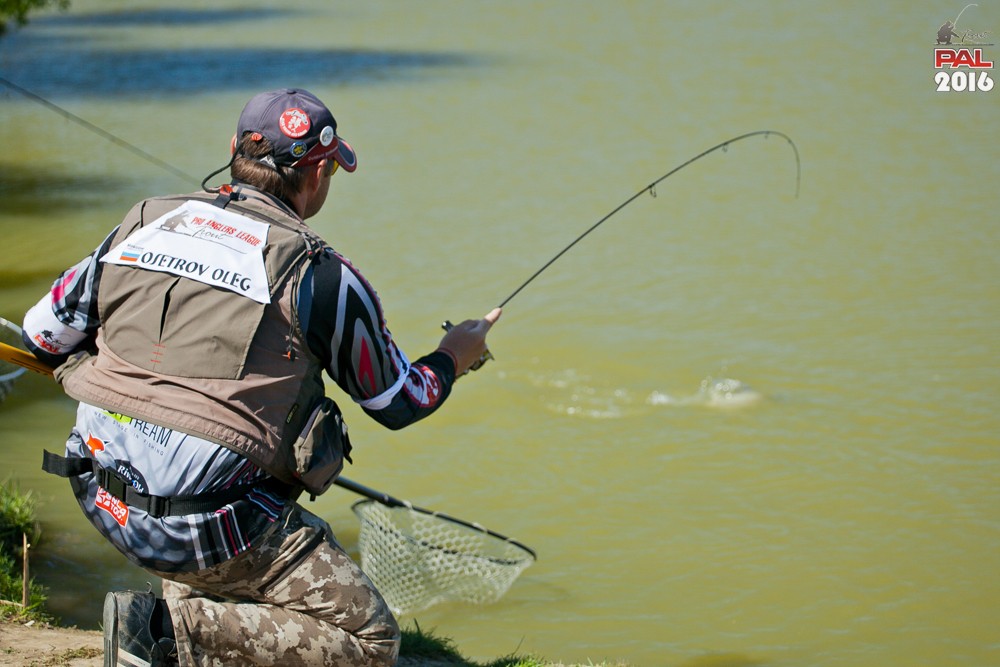 Дневник весеннего турнира Pro Anglers League Trout 2016. Галерея фото 18