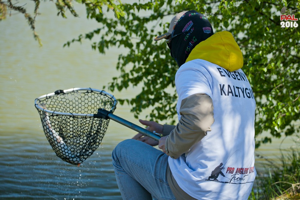 Дневник весеннего турнира Pro Anglers League Trout 2016. Галерея фото 22