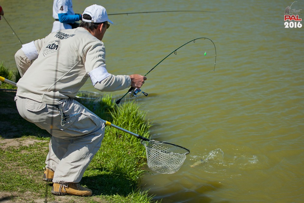 Дневник весеннего турнира Pro Anglers League Trout 2016. Галерея фото 24