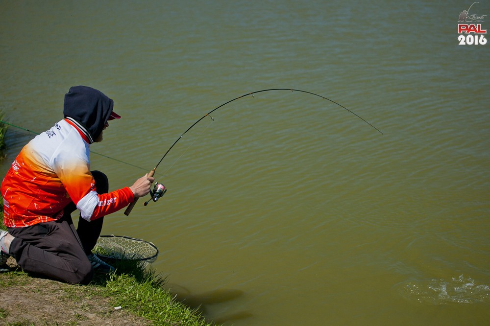 Дневник весеннего турнира Pro Anglers League Trout 2016. Галерея фото 30