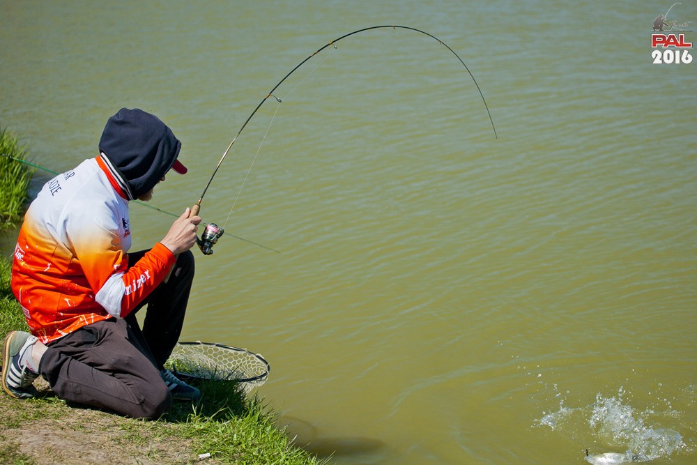 Дневник весеннего турнира Pro Anglers League Trout 2016. Галерея фото 31